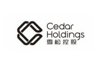 CEDAR HOLDINGS