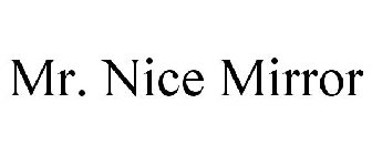 MR. NICE MIRROR