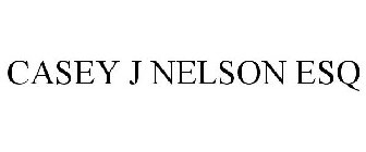 CASEY J NELSON ESQ
