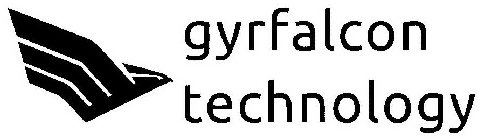 GYRFALCON TECHNOLOGY