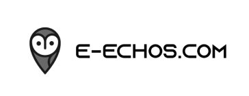 E-ECHOS.COM