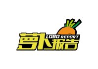 LOBO REPORT