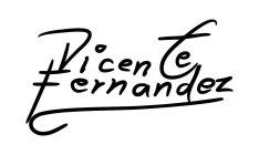 VICENTE FERNANDEZ