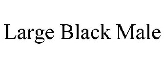 LARGE BLACK MALE