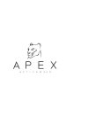 APEX ACTIVEWEAR