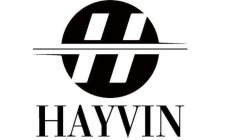 H HAYVIN