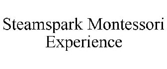 STEAMSPARK MONTESSORI EXPERIENCE