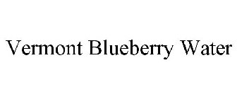 VERMONT BLUEBERRY WATER