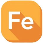 FE