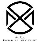 M.X.S. MAXIMUM EXCELLENCE AND SUCCESS