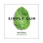 SIMPLY GUM NATURAL PEPPERMINT