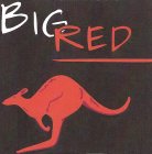 BIG RED ROO