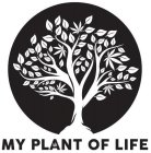 MY PLANT OF LIFE