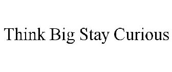 THINK BIG STAY CURIOUS