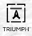 TRIUMPH CV