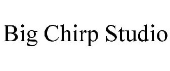 BIG CHIRP STUDIO
