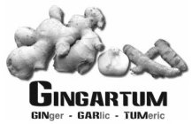 GINGARTUM GINGER · GARLIC · TUMERIC