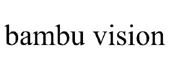 BAMBU VISION