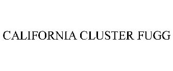 CALIFORNIA CLUSTER FUGG