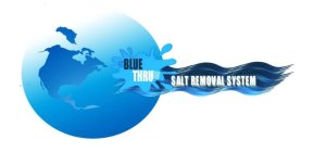 BLUE THRU SALT REMOVAL SYSTEM