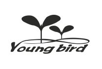 YOUNG BIRD