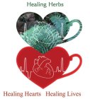 HEALING HERBS HEALING HEARTS HEALING LIVES