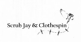 SCRUB JAY & CLOTHESPIN
