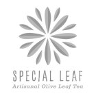 SPECIAL LEAF, ARTISANAL OLIVE LEAF TEA