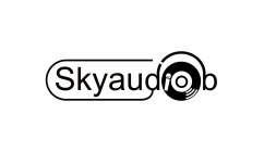 SKYAUDIO