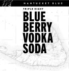 NANTUCKET BLUE TRIPLE EIGHT BLUEBERRY VODKA SODA