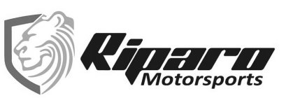 RIPARO MOTORSPORTS