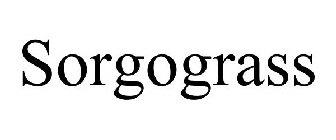 SORGOGRASS