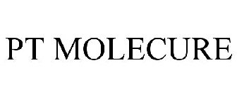 PT MOLECURE