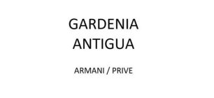 GARDENIA ANTIGUA ARMANI / PRIVE