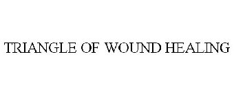 TRIANGLE OF WOUND HEALING