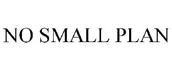 NO SMALL PLAN