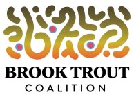 BROOK TROUT COALITION