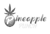 PINEAPPLE PUNCH