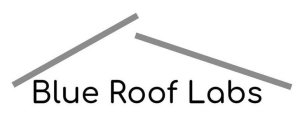 BLUE ROOF LABS