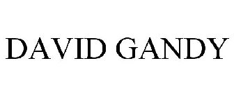 DAVID GANDY
