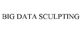 BIG DATA SCULPTING