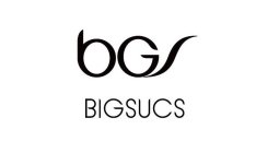 BGS BIGSUCS