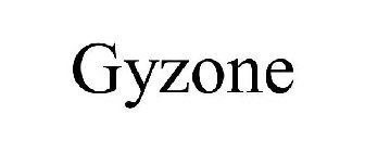 GYZONE