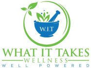 W.I.T WHAT IT TAKES WELLNESS WELL POWERED