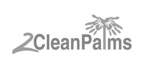 2CLEANPALMS