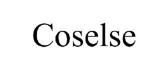 COSELSE