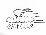 SHIT GULLZ