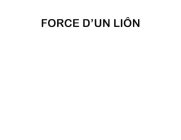 FORCE D'UN LIÔN