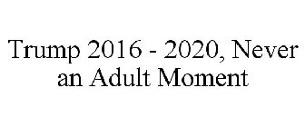 TRUMP 2016 - 2020,  NEVER AN ADULT MOMENT