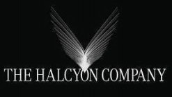 THE HALCYON COMPANY